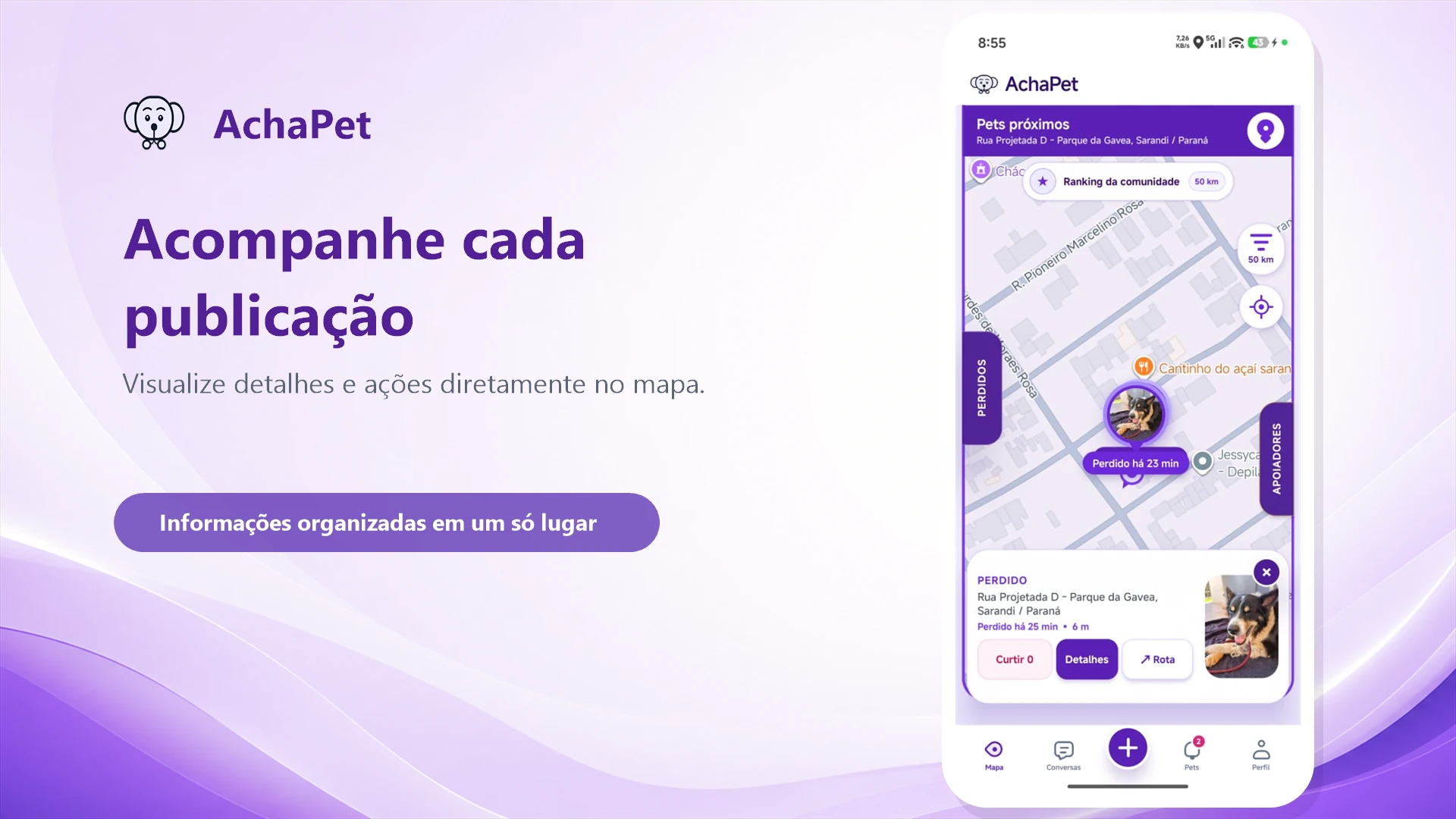 Detalhes de uma publicação do AchaPet exibidos diretamente no mapa